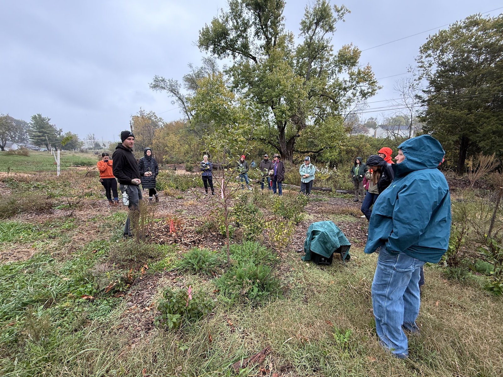 OAK Field Day participants stand in a circle in an open three-acre greenspace planted with herbaceous cover, with bare deciduous trees and a gray sky behind them.