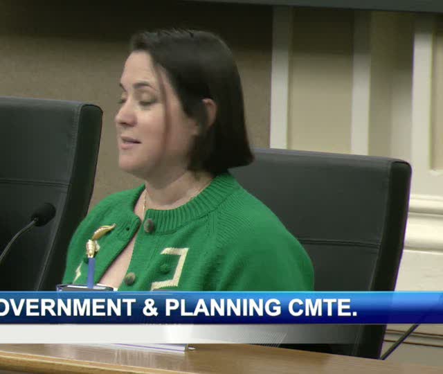 Committee chair Liz Sheehan speaking at the June 2 GGP Committee meeting